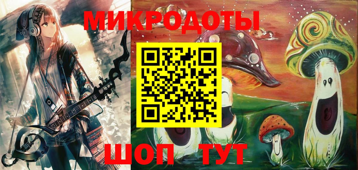 Псилоцибиновые грибы Cubensis Луга